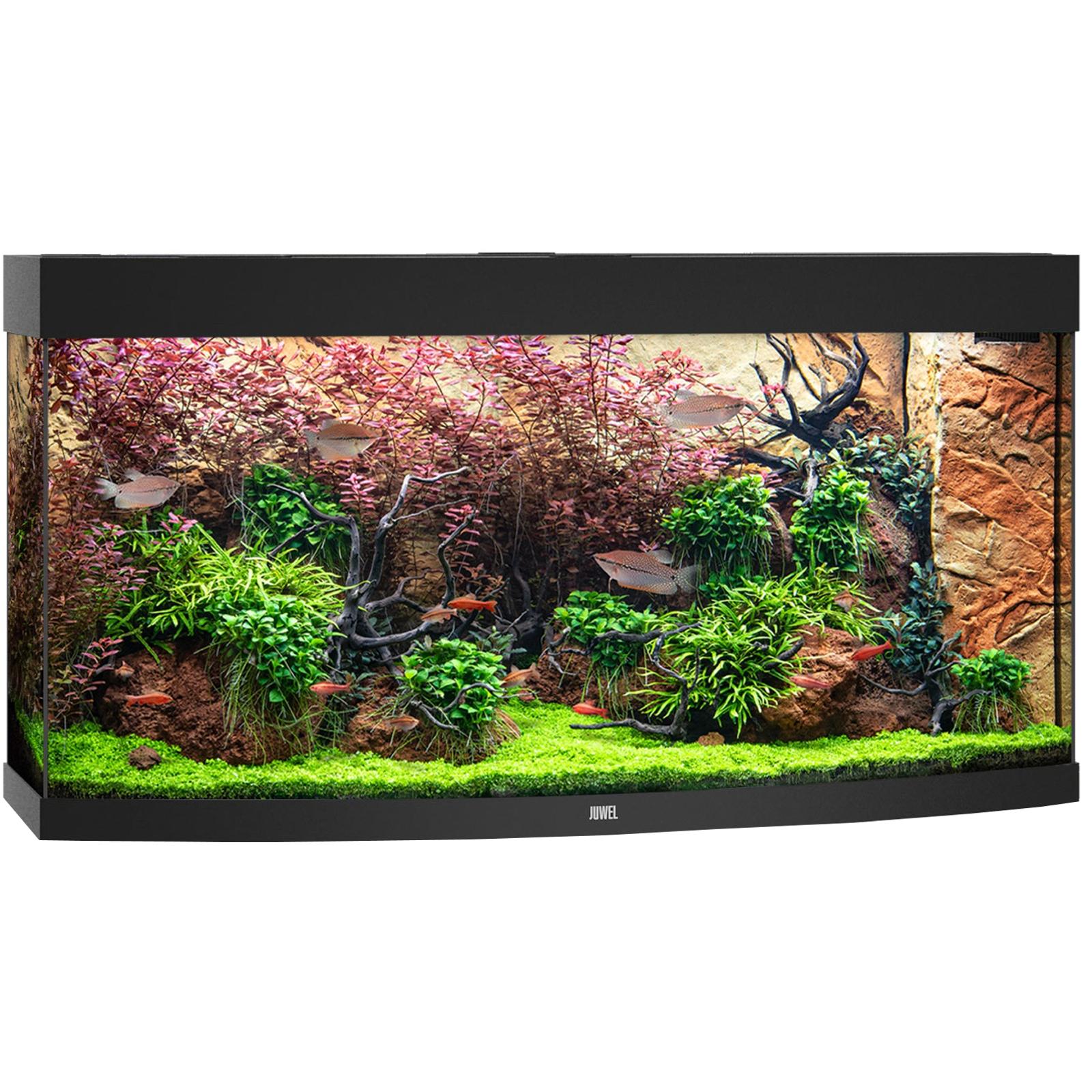 JUWEL Vision 260 LED Noir aquarium panoramique équipé 121 x 46 x 64 cm 260 L