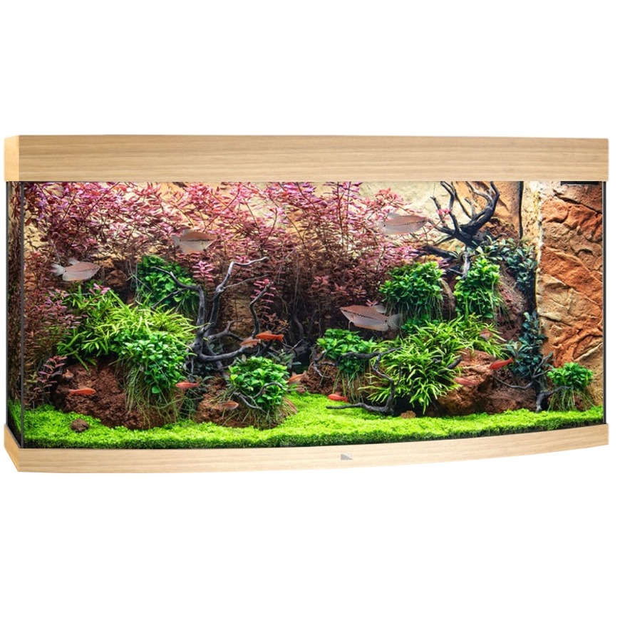 JUWEL Vision 260 LED Chêne Clair aquarium panoramique équipé 121 x 46 x 64 cm 260 L