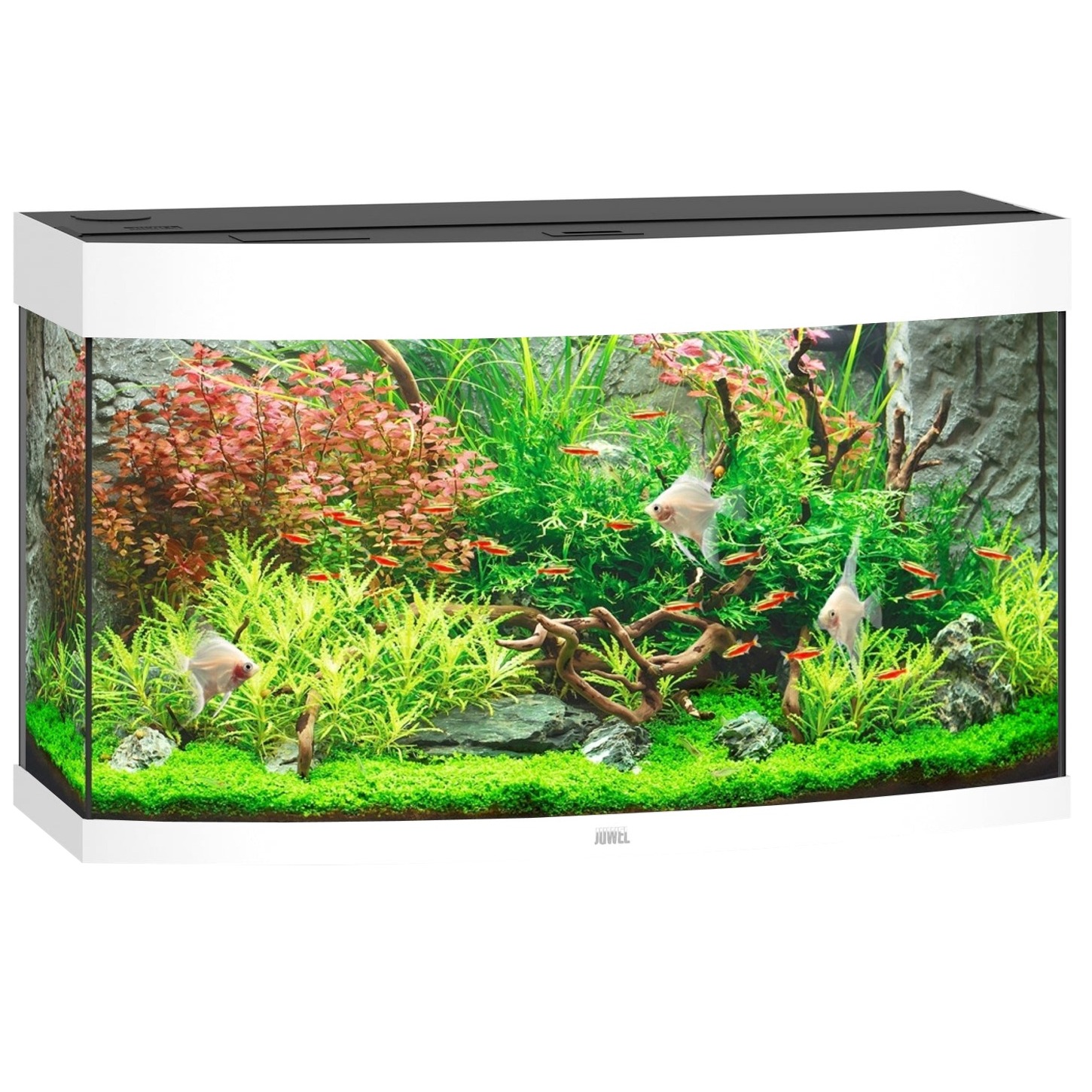 JUWEL Vision 180 LED Blanc aquarium panoramique équipé 92 x 41 x 51 cm 180 L