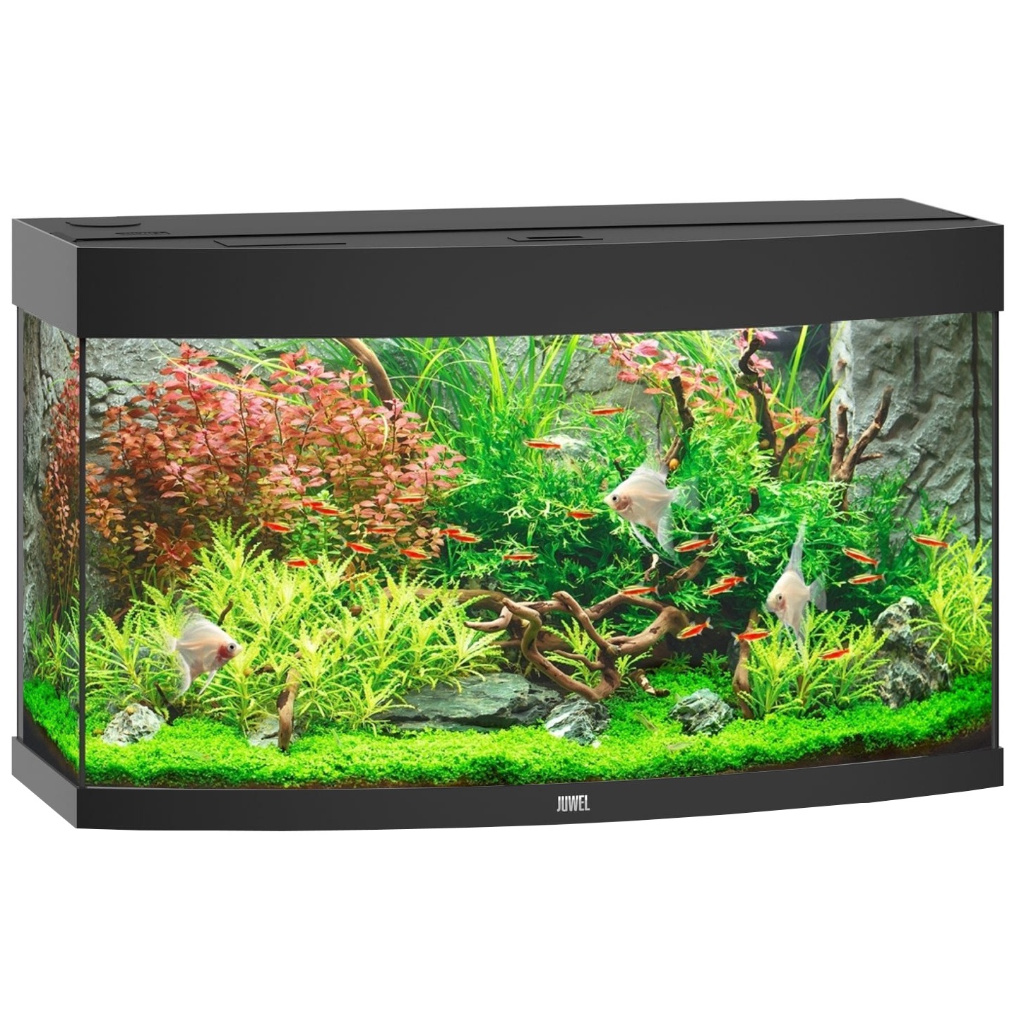 JUWEL Vision 180 LED Noir aquarium panoramique équipé 92 x 41 x 51 cm 180 L