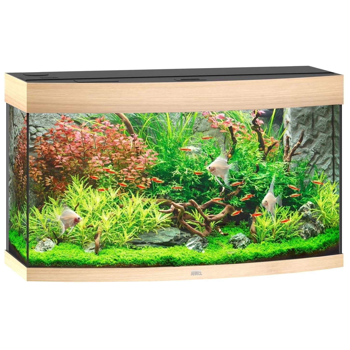 JUWEL Vision 180 LED Chêne Clair aquarium panoramique équipé 92 x 41 x 51 cm 180 L