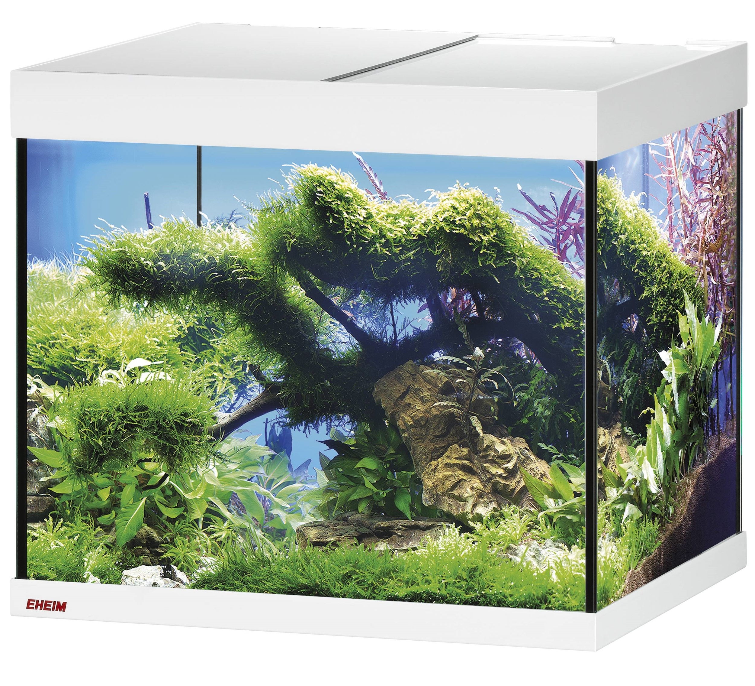 EHEIM Vivaline LED 150 L Blanc aquarium équipé 60 x 50 x 50 cm et éclairage LEDs