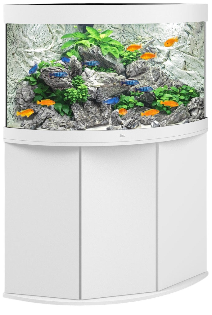 JUWEL Combinaison Trigon 190 LED Blanc aquarium d\'angle 70 x 70 x 60 cm 190 L avec meuble SBX assorti