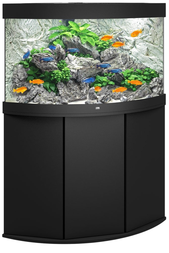 JUWEL Combinaison Trigon 190 LED Noir aquarium d\'angle 70 x 70 x 60 cm 190 L avec meuble SBX assorti