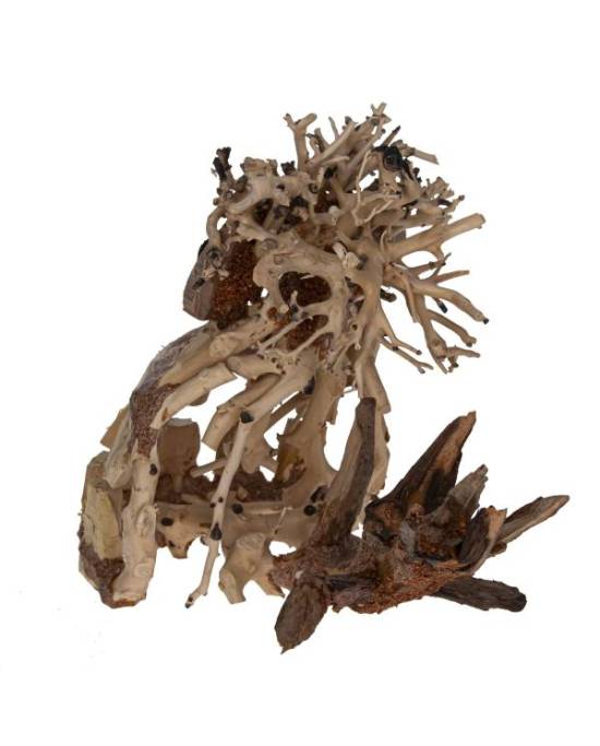 -aquavie-crazy-bos-pm-decoration-ideale-pour-l-aquascaping-fabriquee-avec-des-morceaux-de-bois-naturels-2