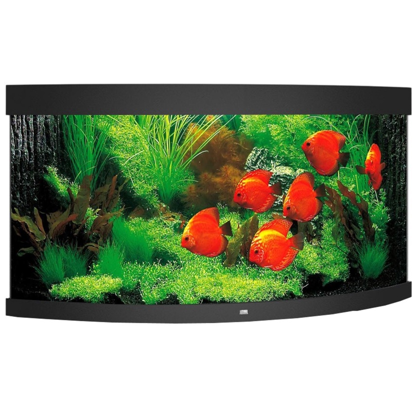 JUWEL Trigon 350 LED Noir aquarium d\'angle équipé 87 x 87 x 65 cm 350 L