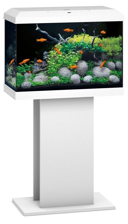 JUWEL Combinaison Primo 70 LED 2.0 Blanc aquarium équipé de 70 L dimensions 61 x 31 x 43,5 cm avec meuble