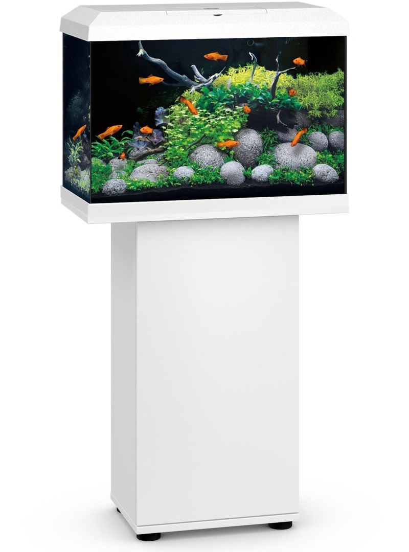 JUWEL Combinaison Primo 70 LED 2.0 Blanc aquarium équipé de 70 L dimensions 61 x 31 x 43,5 cm avec meuble SBX à porte