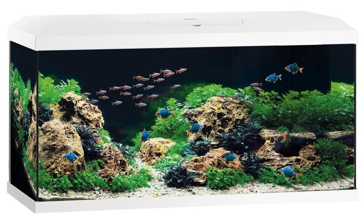 JUWEL Primo 110 LED 2.0 Blanc aquarium équipé de 110 L avec dimensions de 81 x 36 x 43,5 cm