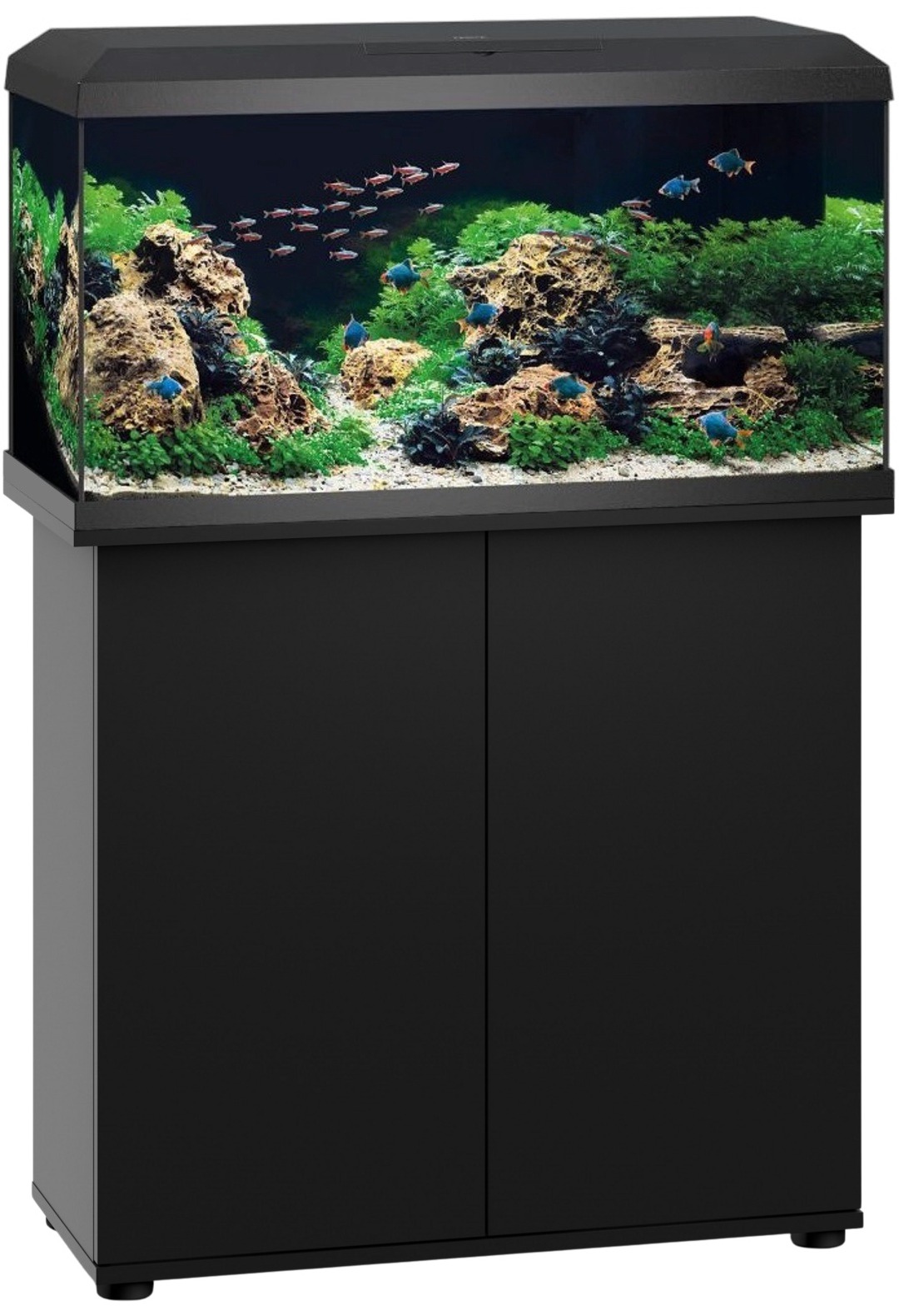 JUWEL Combinaison Primo 110 LED 2.0 Noir aquarium équipé 110 L dimensions de 81 x 36 x 43,5 cm avec meuble SBX 125