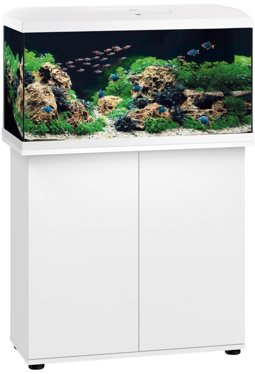 JUWEL Combinaison Primo 110 LED 2.0 Blanc aquarium équipé 110 L dimensions de 81 x 36 x 43,5 cm avec meuble SBX 125