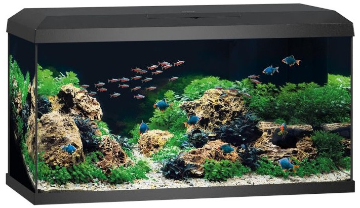 juwel-primo-110-led-2-0-noir-aquarium-equipe-de-110-l-avec-dimensions-de-81-x-36-x-43-5-cm