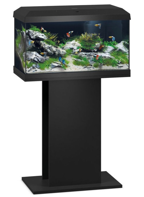 JUWEL Combinaison Primo 60 LED 2.0 Noir aquarium équipé 57 L dimensions 61 x 31 x 36,5 cm avec meuble