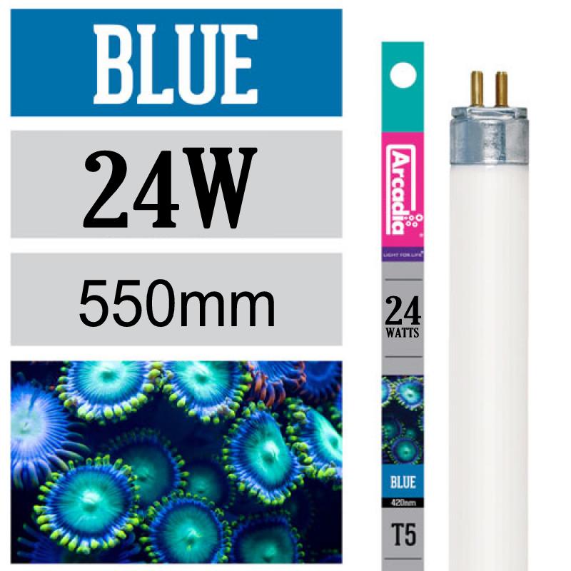 ARCADIA Marine Marine Blue T5 24W 55 cm tube néon Actinic 420 nm
