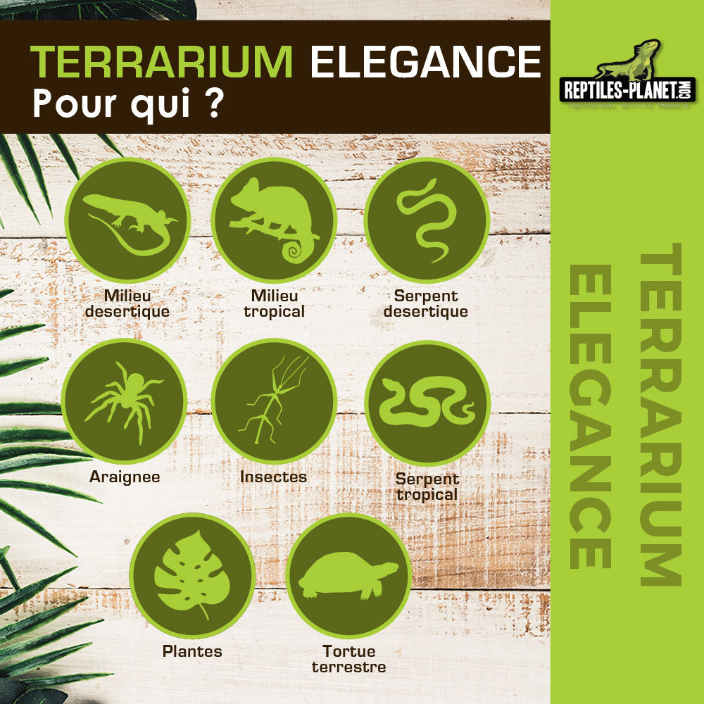 reptiles-planet-elegance-140-x-50-x-60-cm-blanc-terrarium-en-verre-avec-structure-aluminium-6