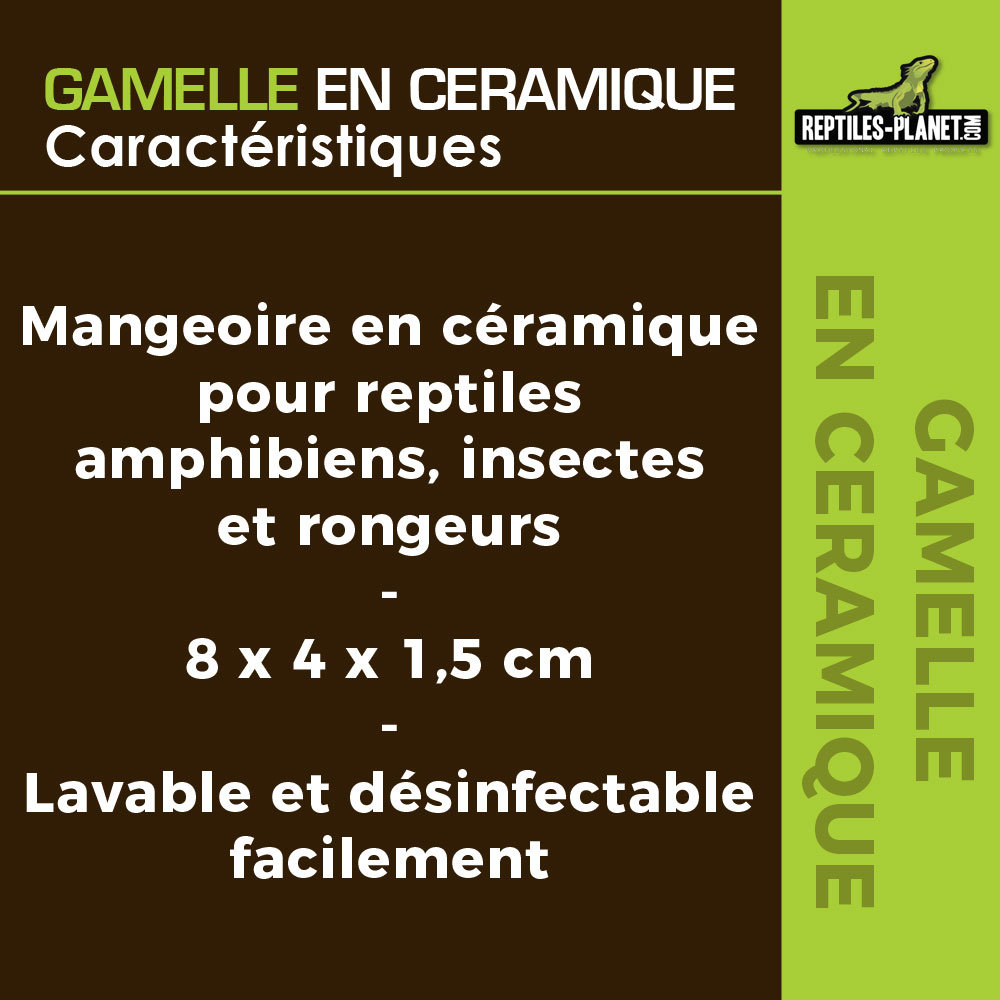reptiles-planet-gamelle-en-ceramique-abreuvoir-blanc-dimensions-8-x-4-x-1-5-cm-2