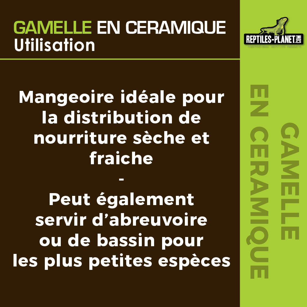 reptiles-planet-gamelle-en-ceramique-abreuvoir-blanc-dimensions-8-x-4-x-1-5-cm-3