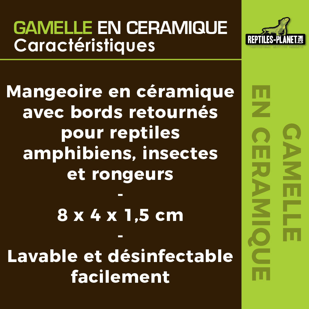 reptiles-planet-gamelle-en-ceramique-blanc-speciale-vers-de-farine-dimensions-8-x-4-x-1-5-cm-3