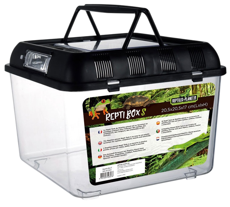 reptiles-planet-repti-box-s-terrarium-en-plastique-20-5-x-20-5-x-17-cm-avec-couvercle-Photoroom