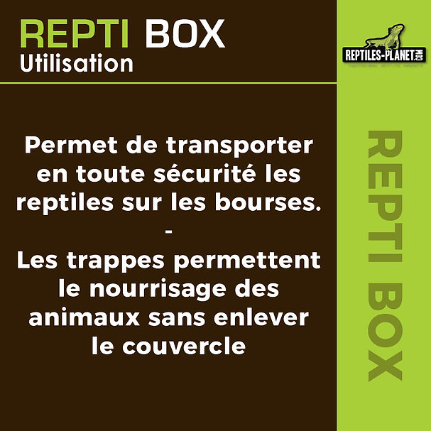 reptiles-planet-repti-box-2