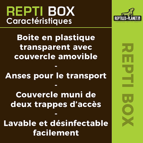 reptiles-planet-repti-box-1