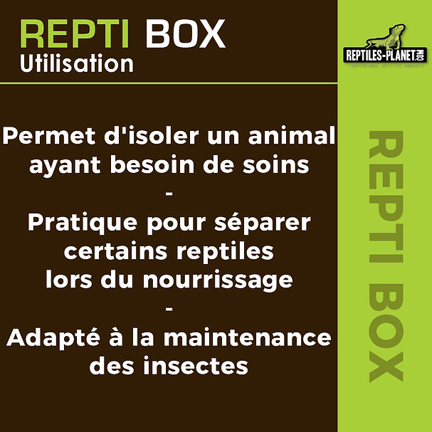 reptiles-planet-repti-box-3
