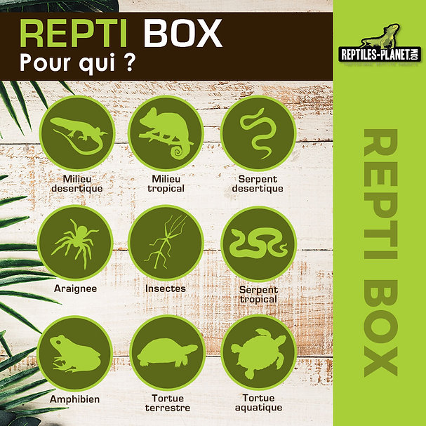 reptiles-planet-repti-box