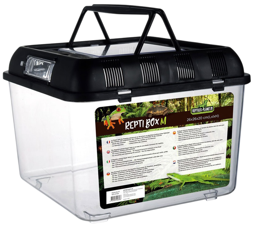 REPTILES PLANET Repti Box M terrarium en plastique 26 x 26 x 20 cm avec couvercle