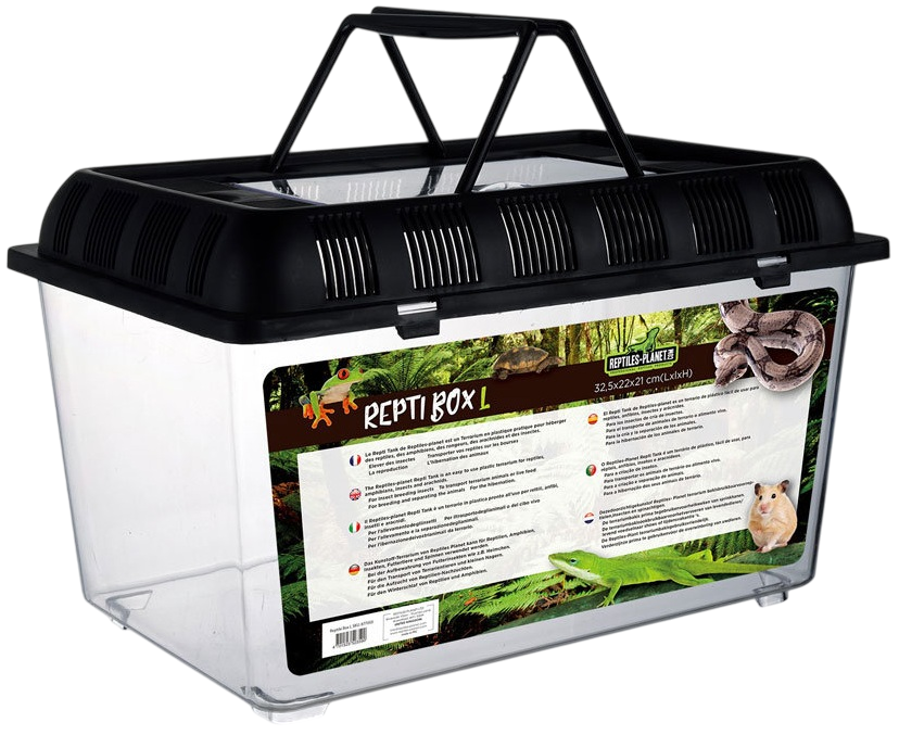 REPTILES PLANET Repti Box L terrarium en plastique 32,5 x 22 x 21 cm avec couvercle