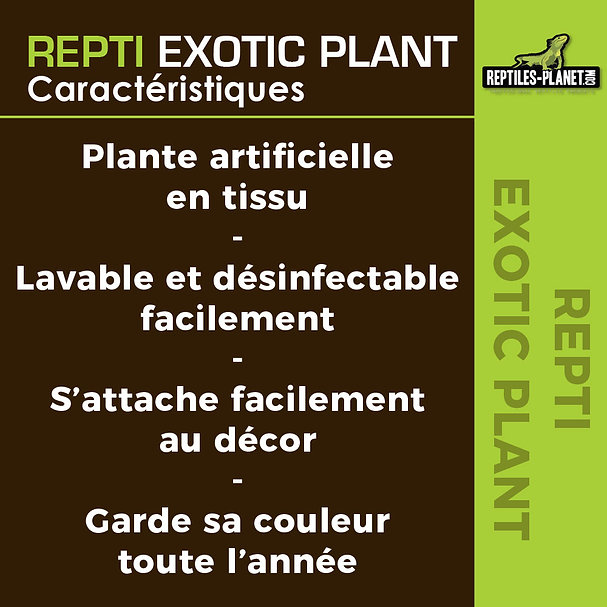 reptiles-planet-repti-exotic-plant-nephnolepis-cordifoolia-presl-plante-artificielle-pour-terrarium-3