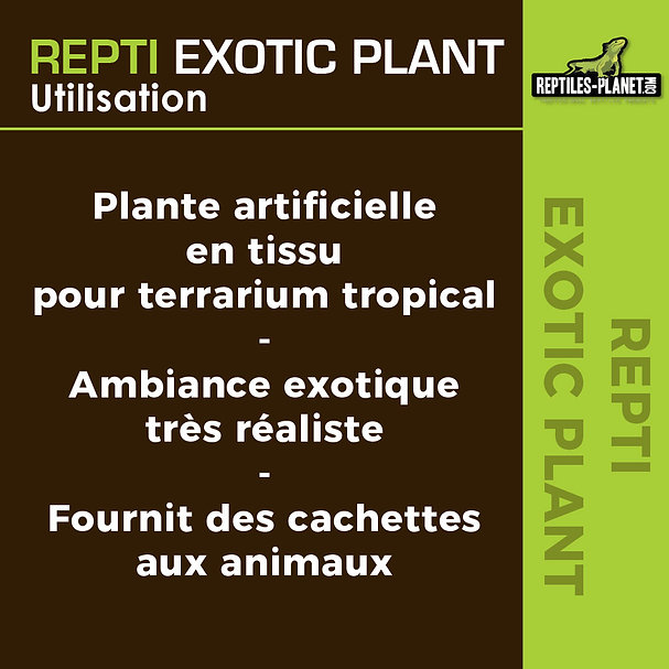 reptiles-planet-repti-exotic-plant-nephnolepis-cordifoolia-presl-plante-artificielle-pour-terrarium-5