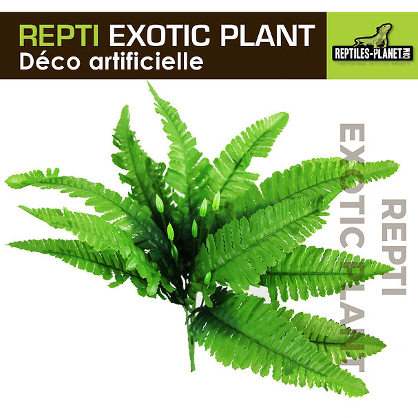 reptiles-planet-repti-exotic-plant-nephnolepis-cordifoolia-presl-plante-artificielle-pour-terrarium-1