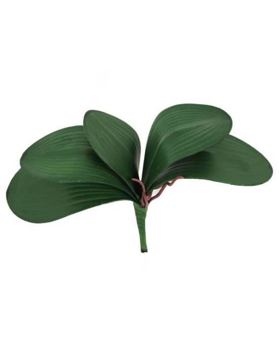 reptiles-planet-repti-exotic-plant-phalaenopsis-amabilis-plante-artificielle-pour-terrarium-1