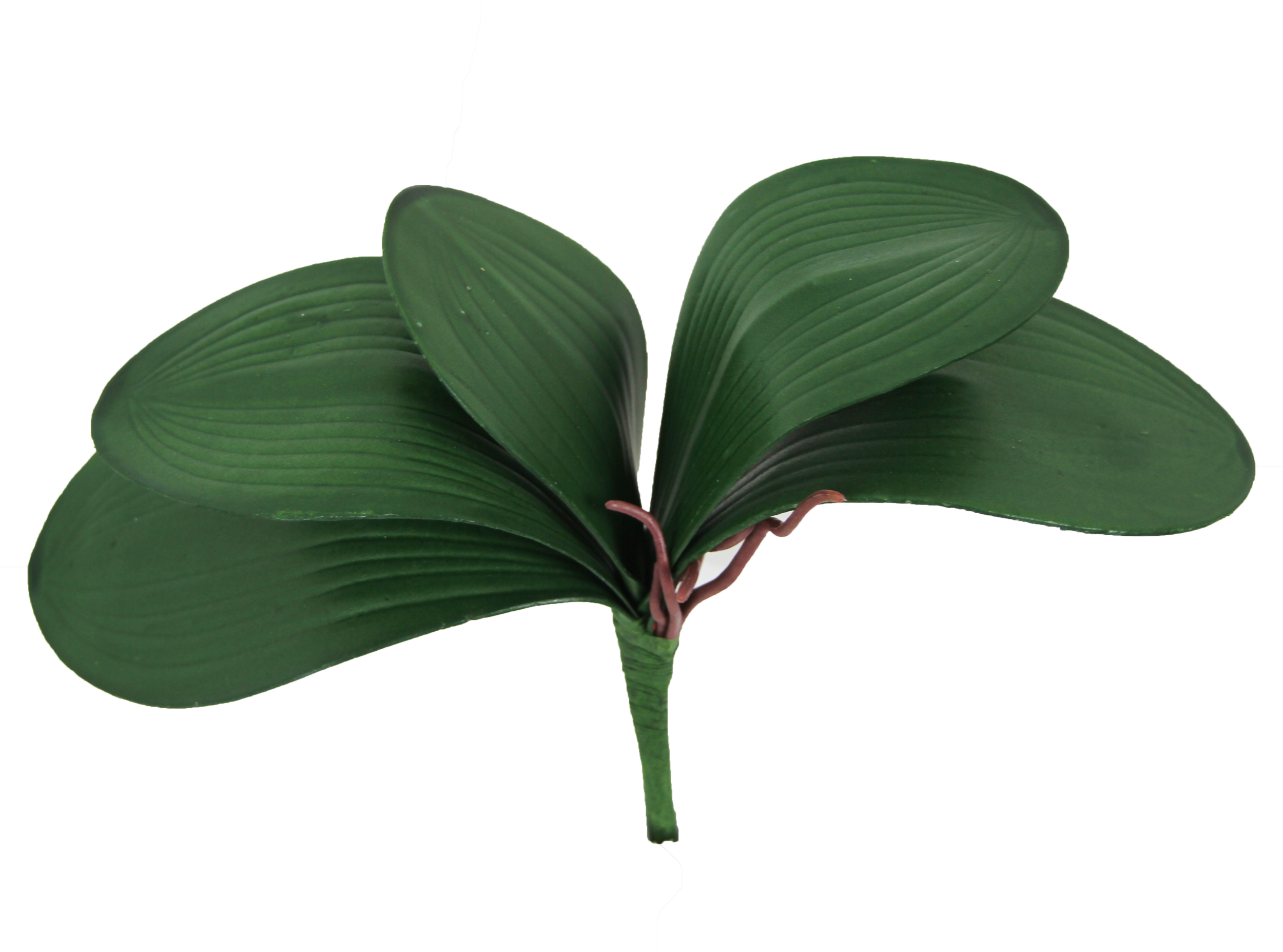 reptiles-planet-repti-exotic-plant-phalaenopsis-amabilis-plante-artificielle-pour-terrarium-3