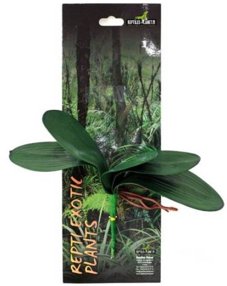 REPTILES PLANET Repti Exotic Plant Phalaenopsis Amabilis 36,5 cm plante artificielle pour terrarium