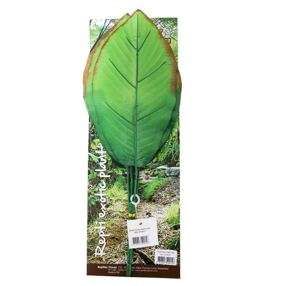 REPTILES PLANET Repti Exotic Plant Cala 36,5 cm plante artificielle pour terrarium