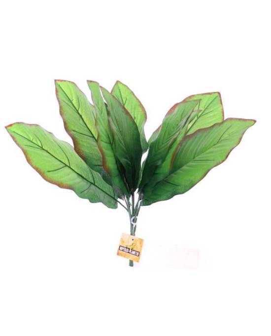 reptiles-planet-repti-exotic-plant-cala-plante-artificielle-pour-terrarium-2