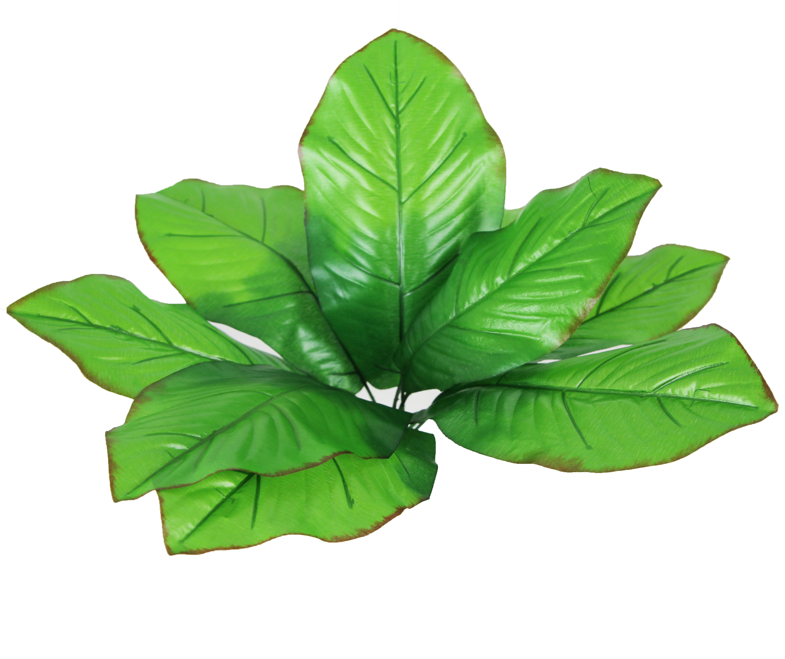 reptiles-planet-repti-exotic-plant-cala-plante-artificielle-pour-terrarium-1