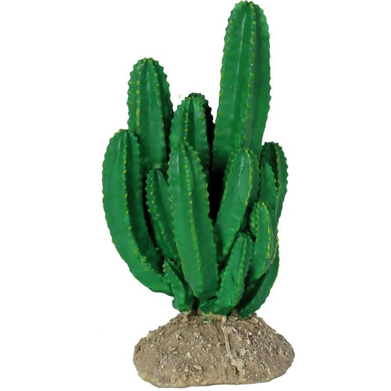 REPTILES PLANET Ironwood Cactus 7 x 7 x 17 cm décoration artificielle pour terrarium