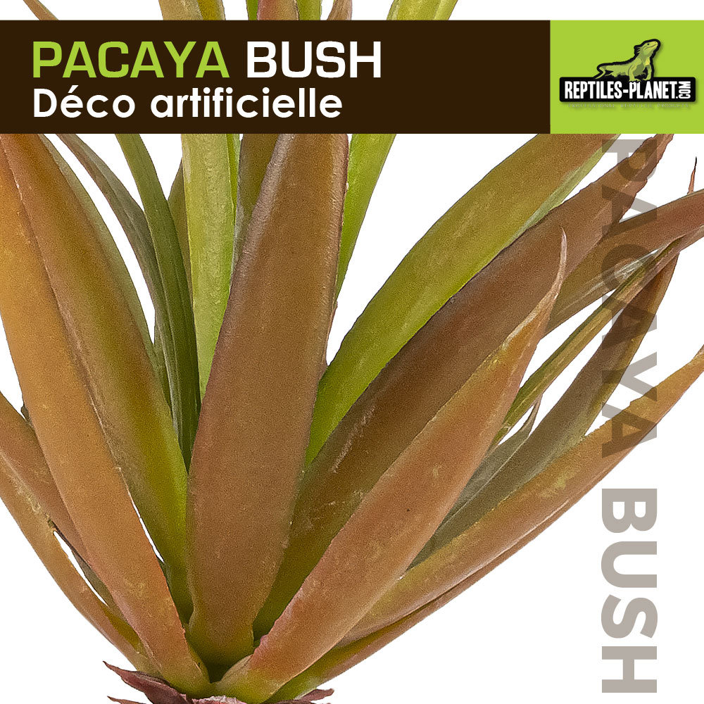 reptiles-planet-pacaya-bush-20-cm-plante-artificielle-pour-terrarium-1
