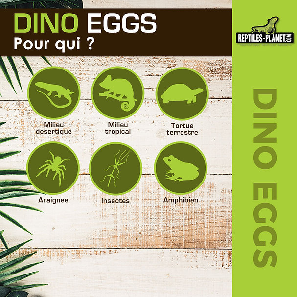 reptiles-planet-dino-eggs-20-x-16-x-4-7-cm-decoration-artificielle-pour-terrarium-3