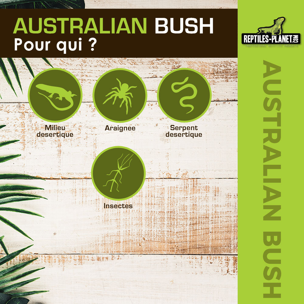 reptiles-planet-australian-bush-34-cm-plante-artificielle-pour-terrarium-2