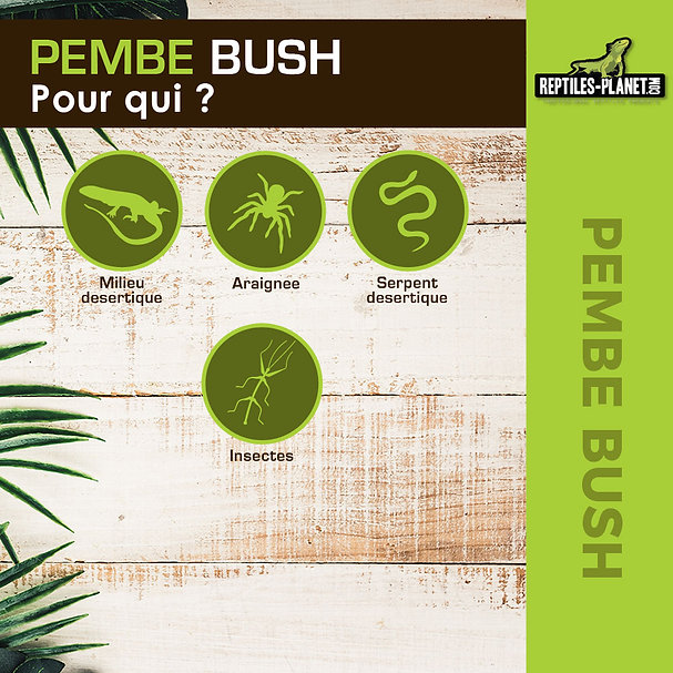 reptiles-planet-pembe-bush-30-cm-plante-artificielle-pour-terrarium-3
