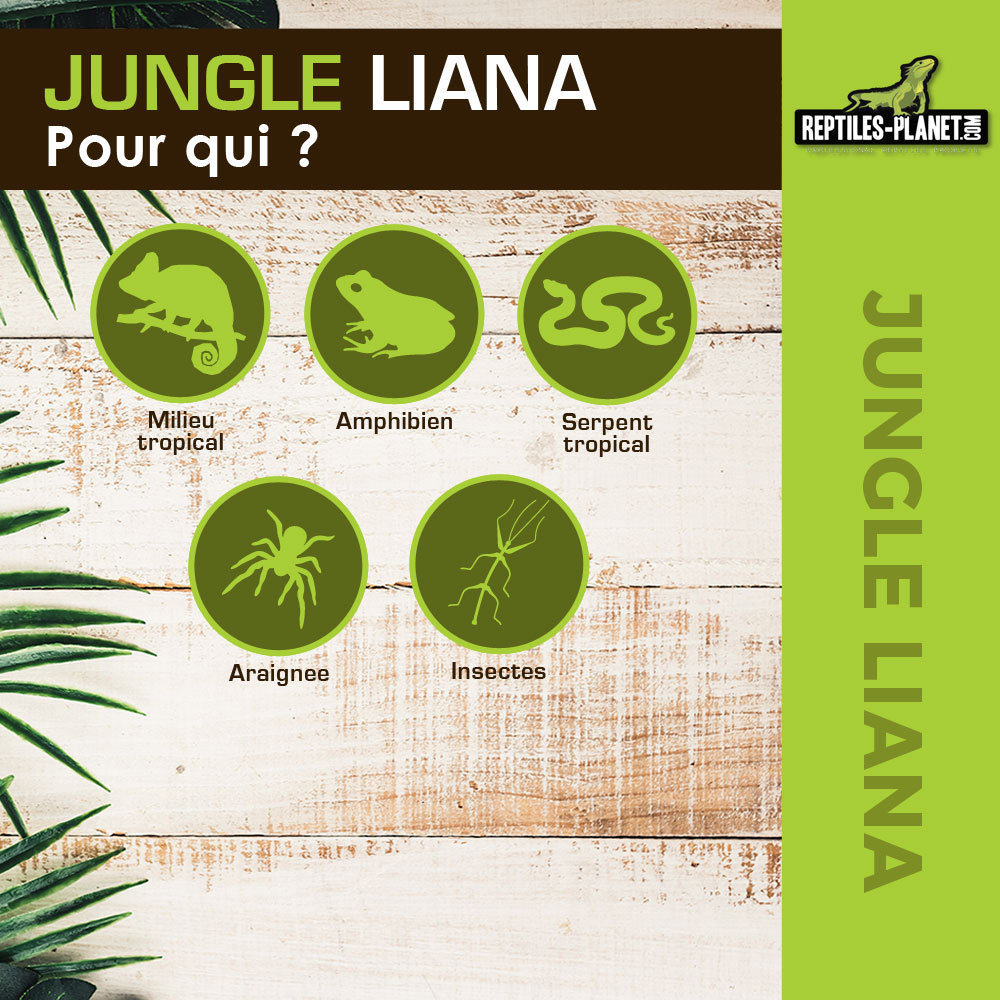 reptiles-planet-liane-artificielle-1-m-pour-terrarium-4