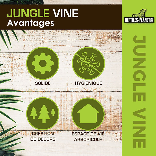 reptiles-planet-amazon-jungle-vine-2-6-m-plante-en-tissu-pour-terrarium-5