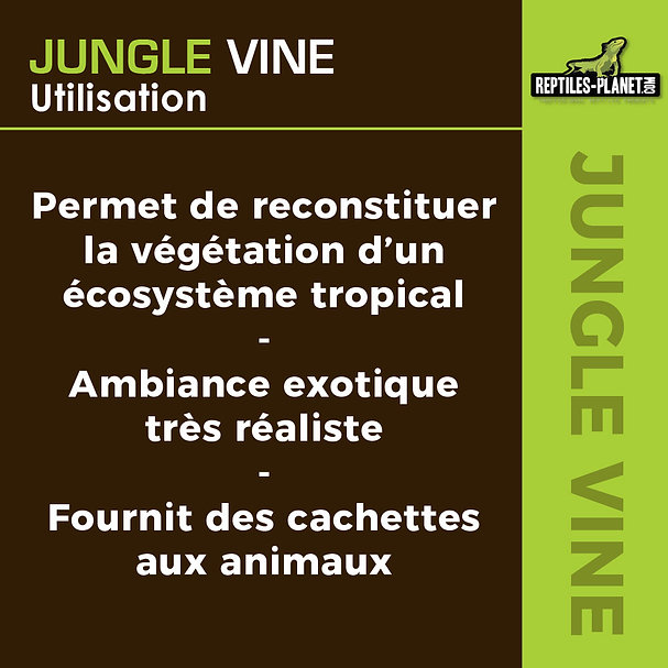 reptiles-planet-serengti-jungle-vine-2-6-m-plante-en-tissu-pour-terrarium-5