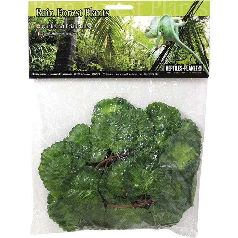 REPTILES PLANET Serengti Jungle Vine 2,6 m plante en tissu pour terrarium
