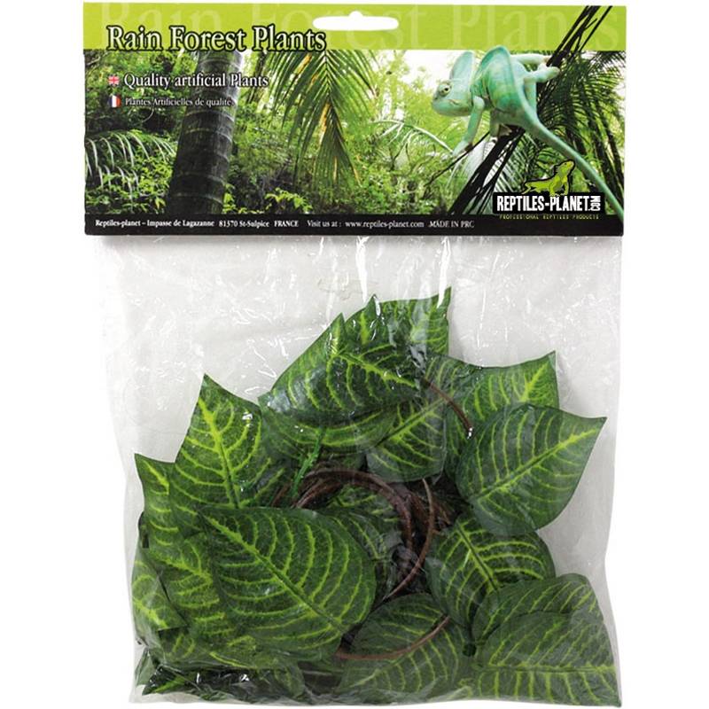 REPTILES PLANET Plante en tissu Cruise Jungle Vine 2,6 m plante en tissu pour terrarium