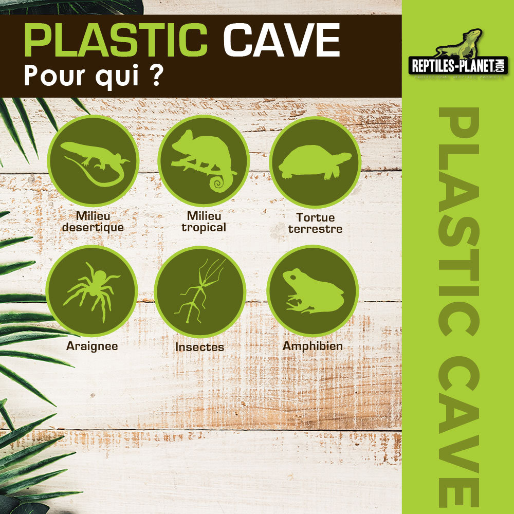 reptiles-planet-cave-with-bowl-s-10-x-16-8-x-7-cm-decoration-pour-terrarium-6
