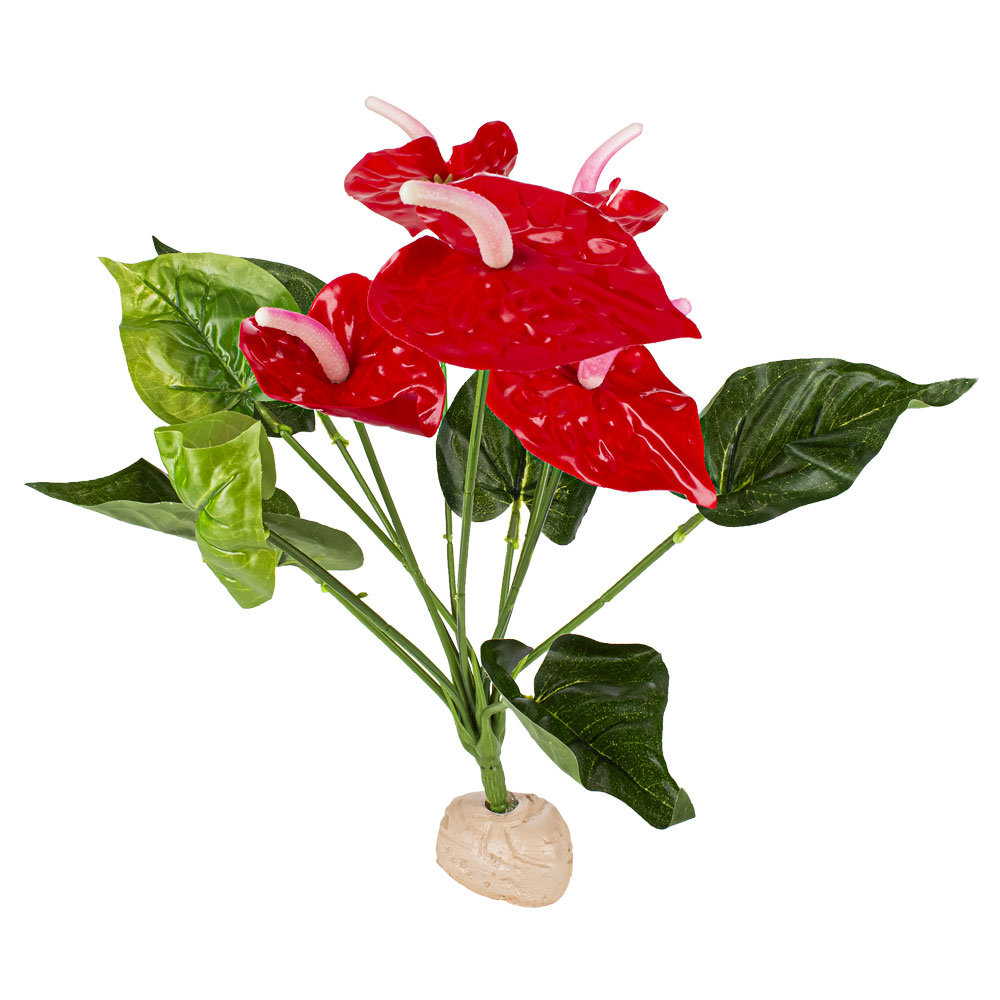 reptiles-planet-red-anthurium-33-cm-plante-artificielle-pour-terrarium-1